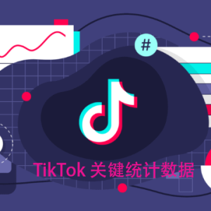 在TikTok宣传自己的产品，注意发布时间段，算法和内容公式